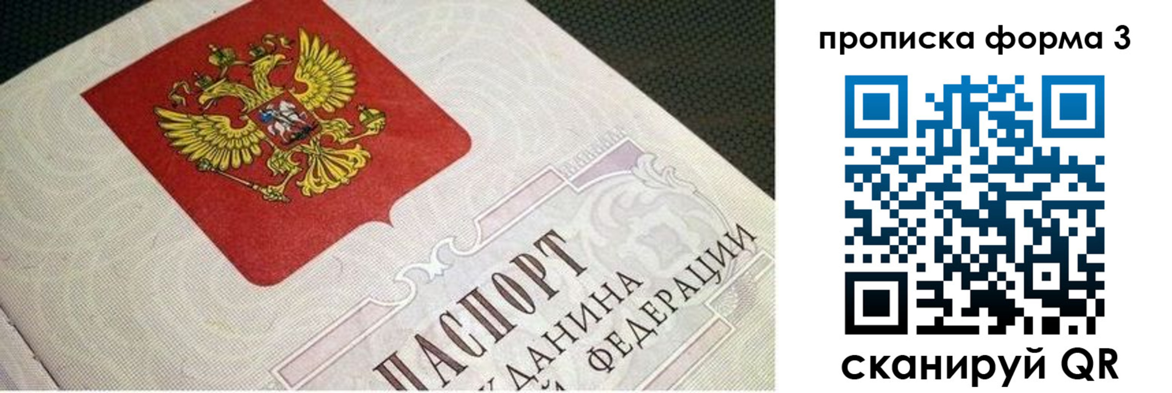 прописка в квартире в Благовещенске